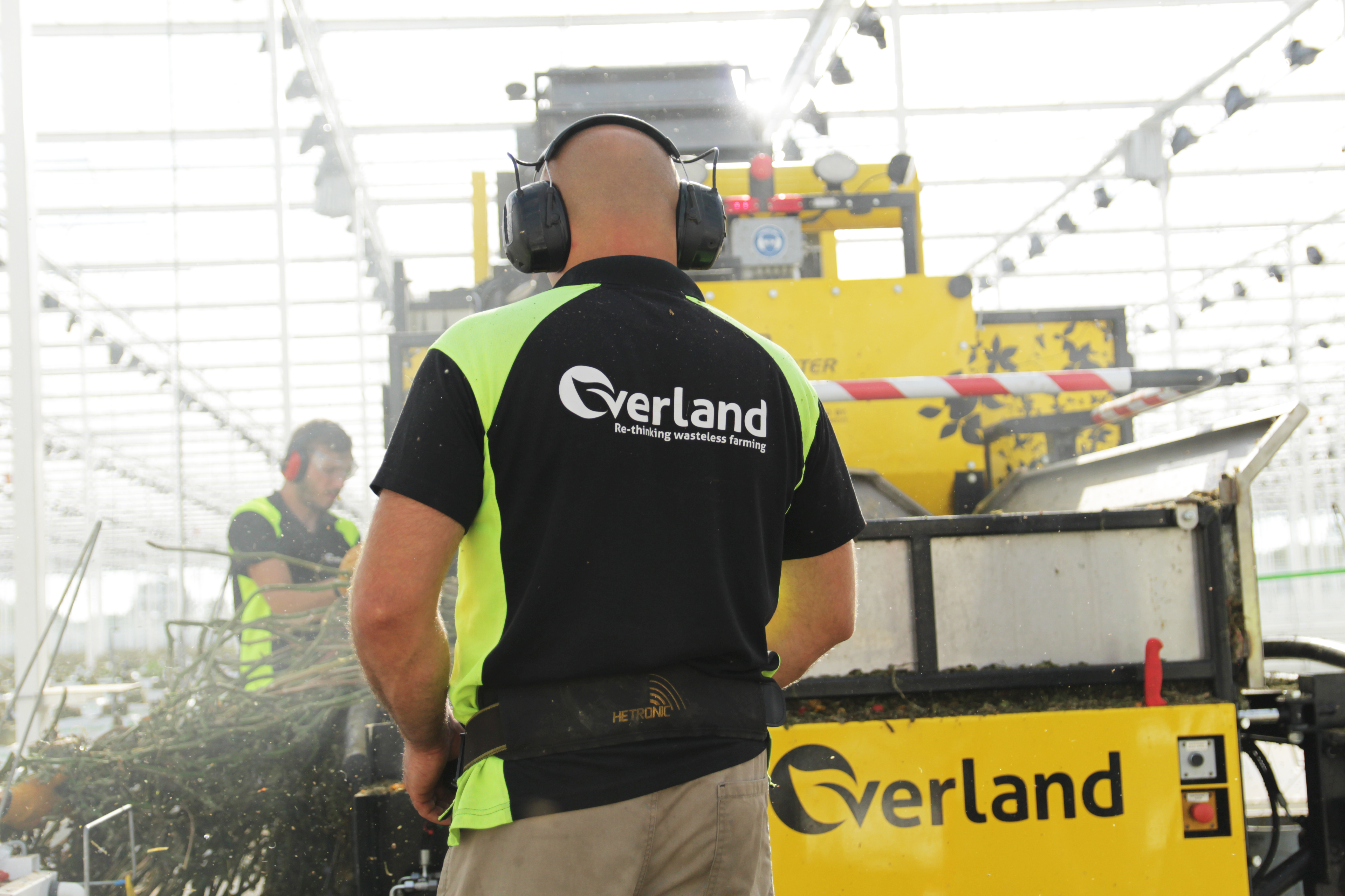 Overland crew operating crop removal equipment inside a commercial glasshouse