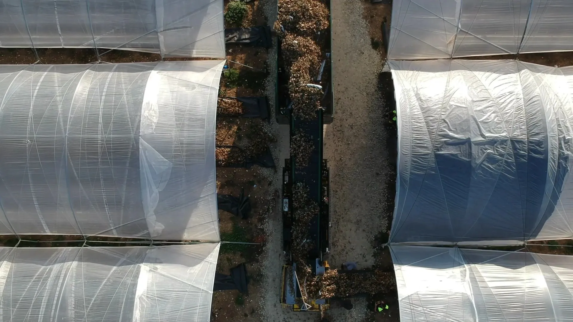 Aerial view of plant waste being transported between polytunnels during crop clearance