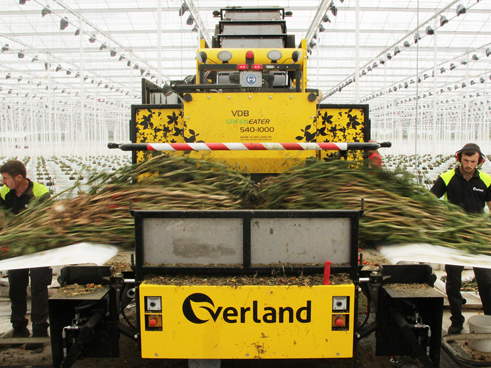 Front view of a Greeneater machine clearing plant rows inside a bright glasshouse